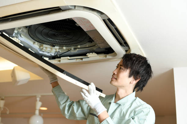 Best Home Air Vent Cleaning  in Webster, FL