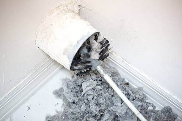 Best Air Duct Cleaning Near Me  in Webster, FL